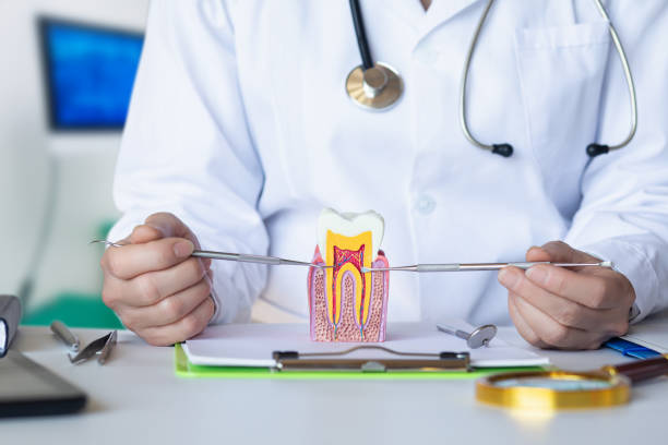 Best Emergency Dental Care for Abscessed Tooth in West Concord, MA